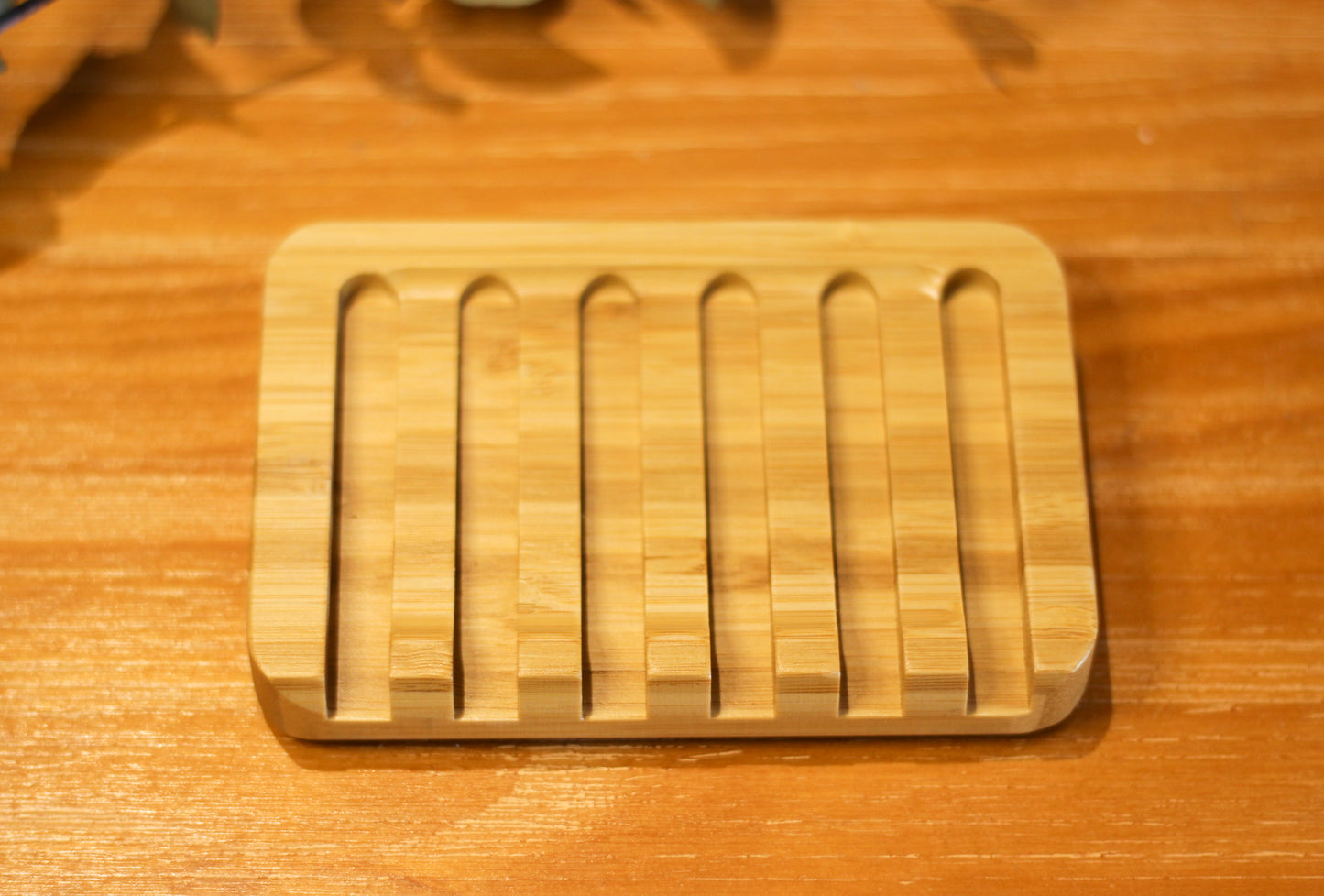 Soap + Bamboo Dish Gift Pack