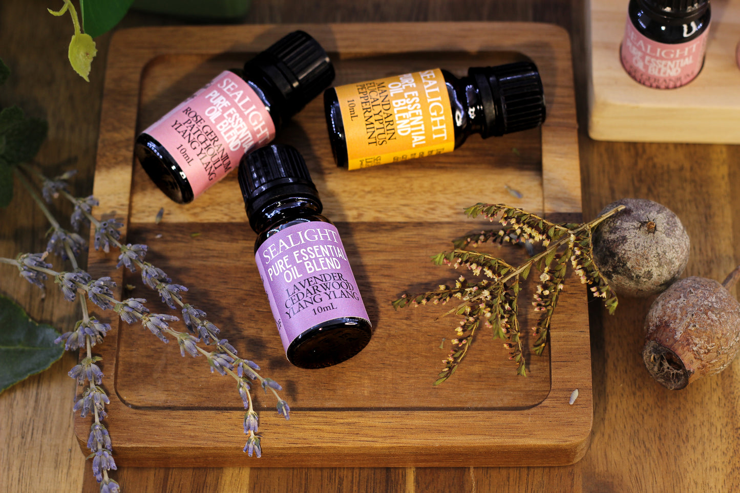 Rose Geranium, Patchouli, Ylang Ylang ~ 100% Pure Plant Essential Oil