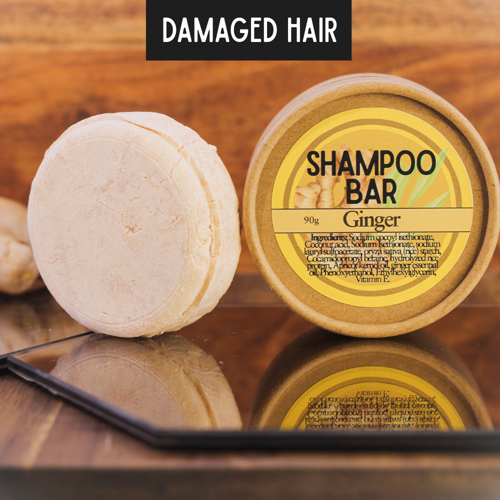 XL Shampoo Bar ~ Ginger ~ 50 washes ~ Rice Protein Solid Shampoo ~