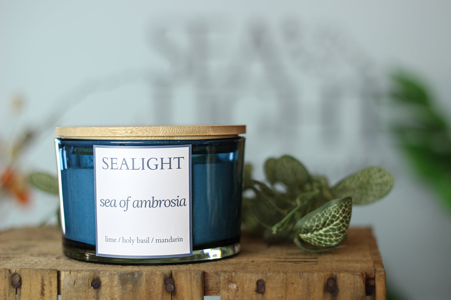 Jar Candle - 100 hours - Soy Wax Candle