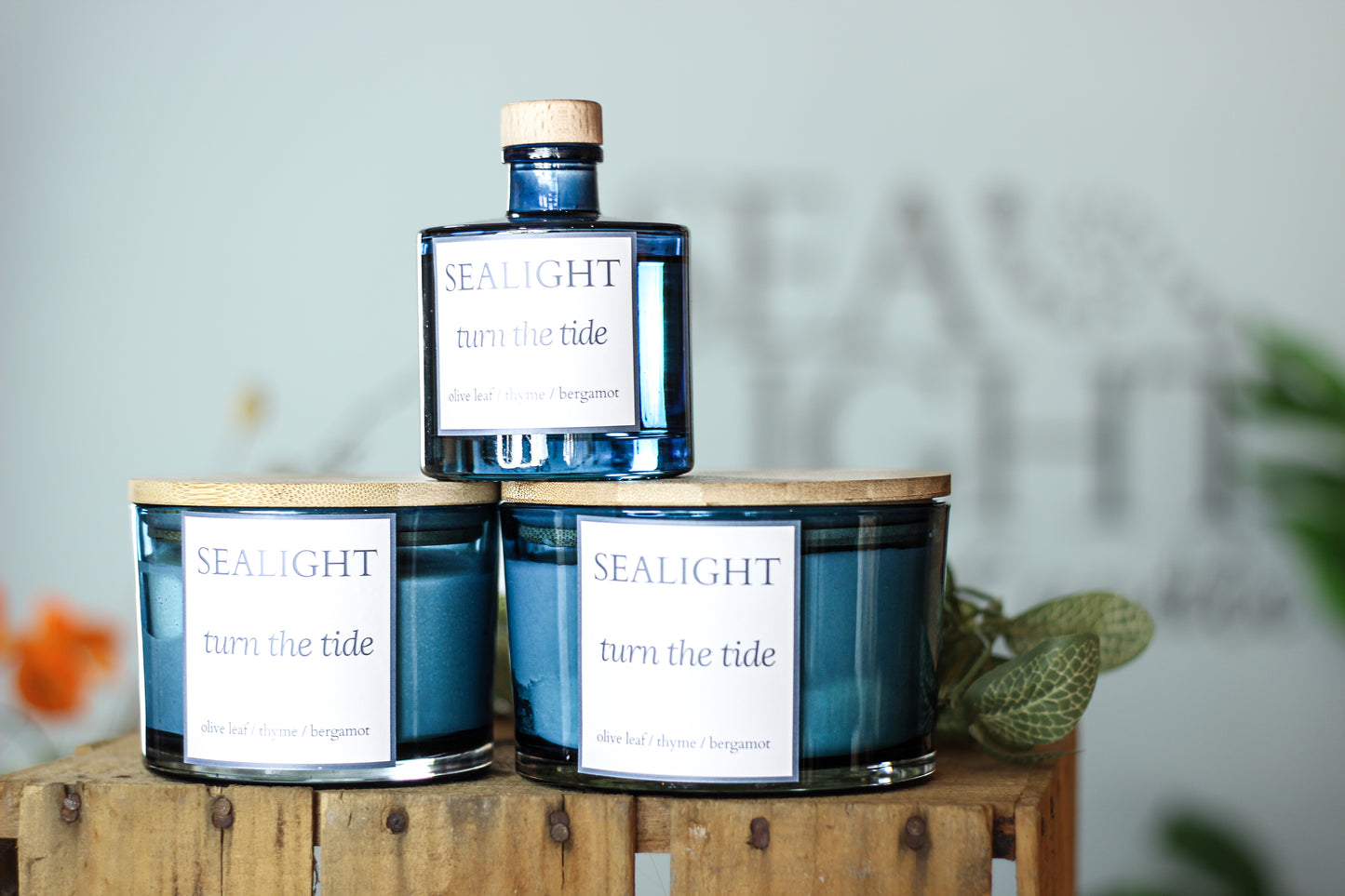 Turn the Tide - Olive Leaf & Thyme