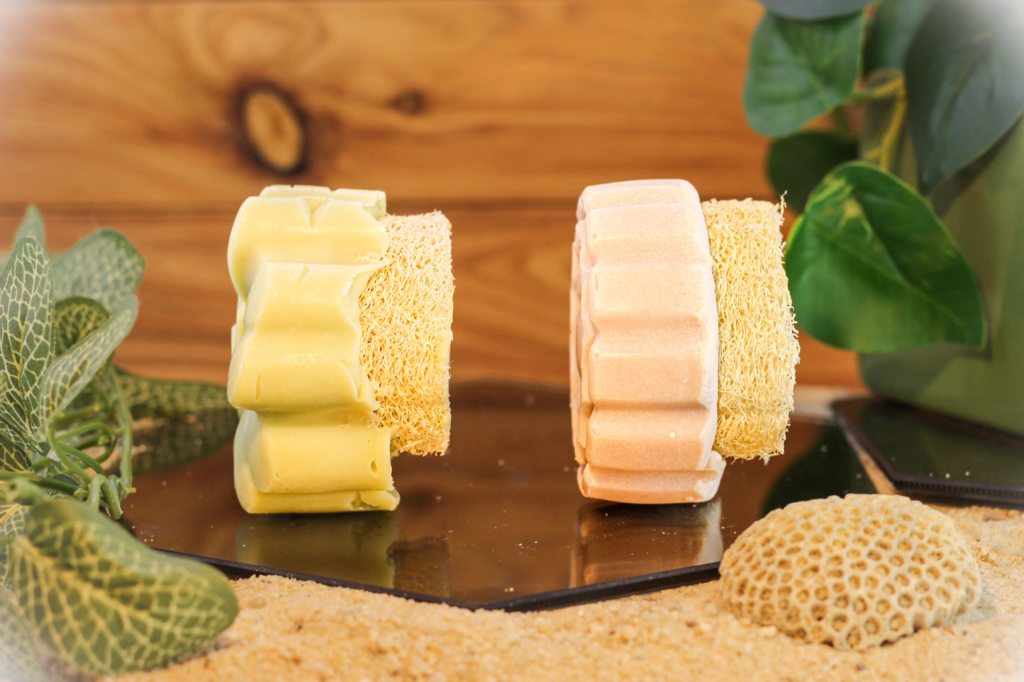 Loofah Soap - Round Soap with Loofah Pieces - Lemongrass Scent