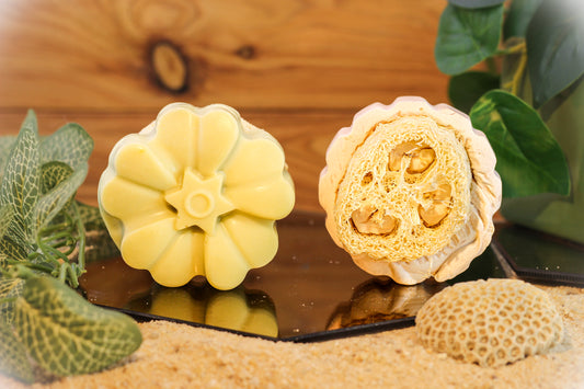 Loofah Soap - Round Soap with Loofah Pieces - Lemongrass Scent