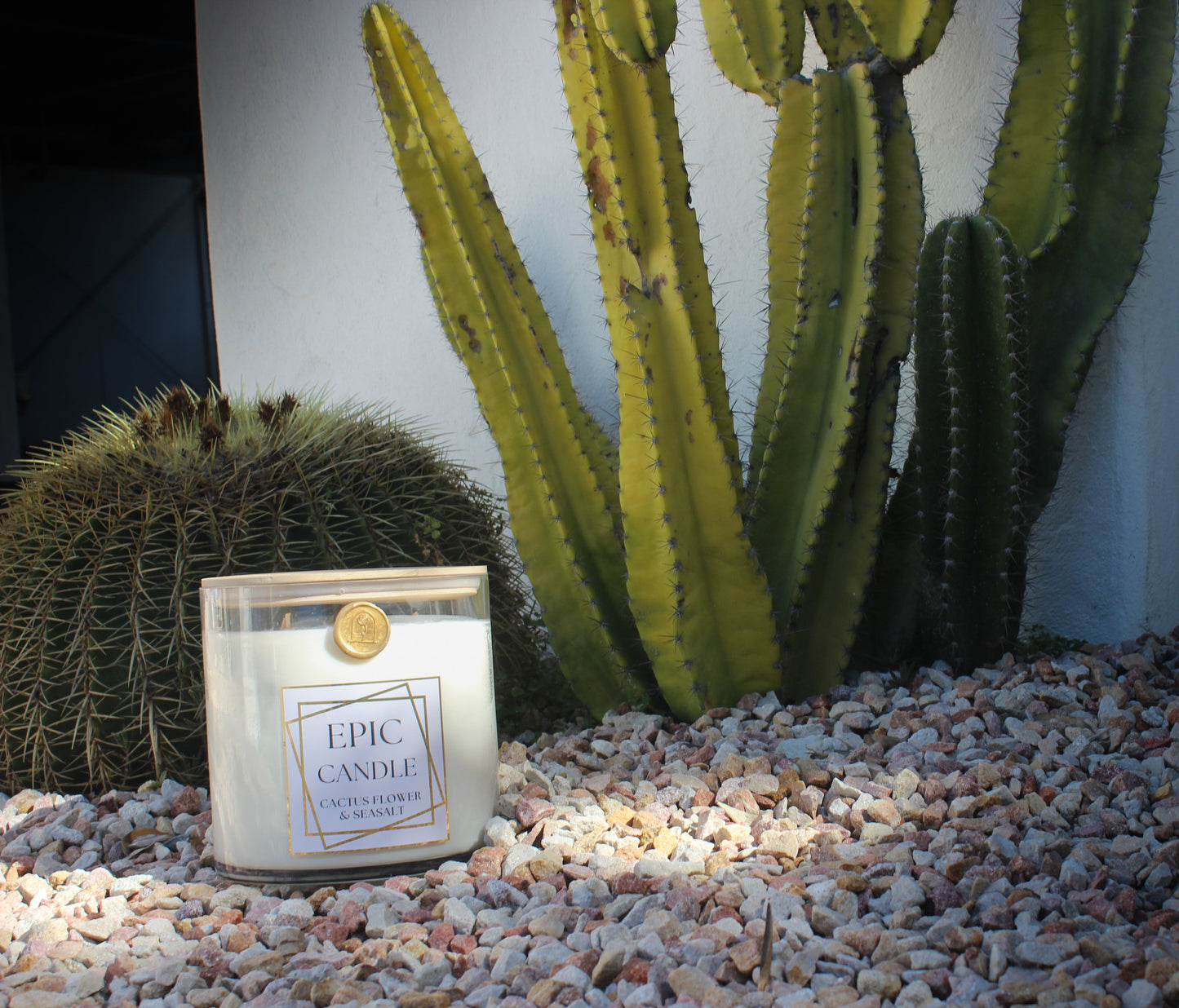 Cactus Flower & SeaSalt