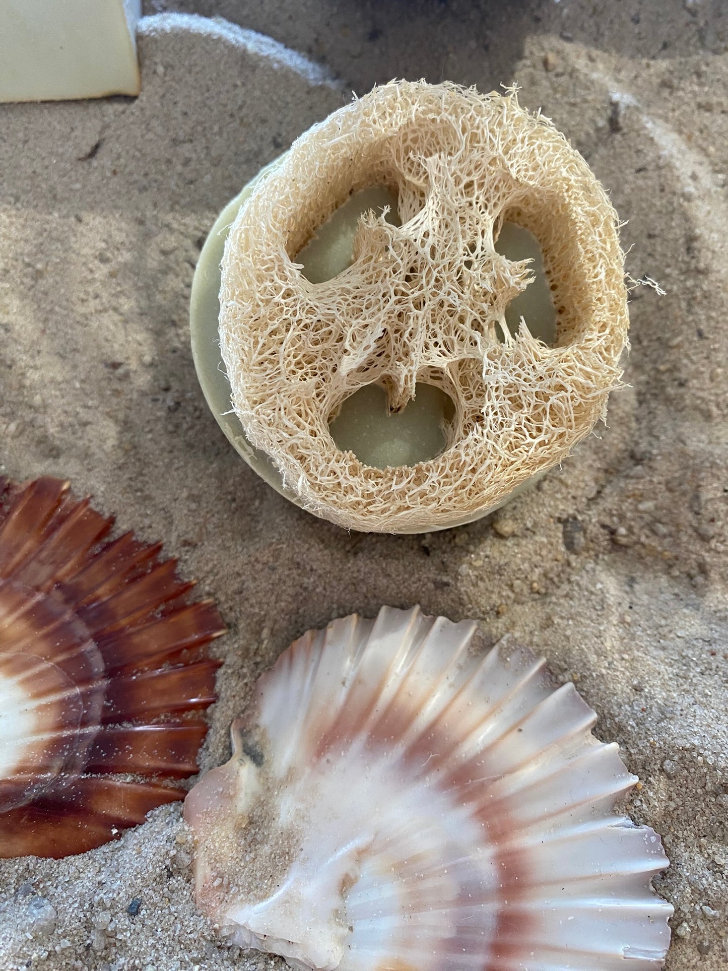 Loofah Soap - Round Soap with Loofah Pieces - Lemongrass Scent