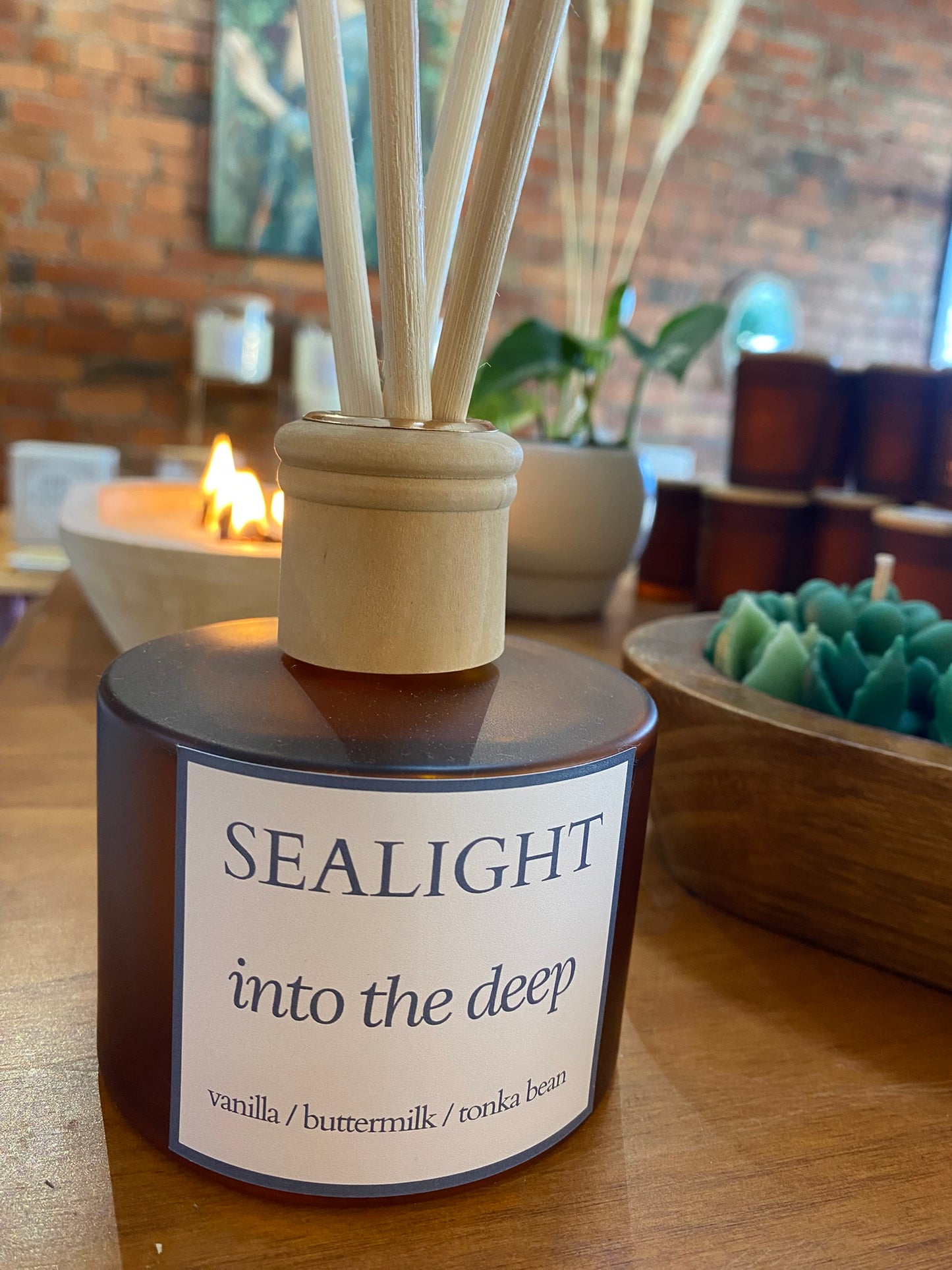 Crème Caramel - Fragrance Diffuser - Into the Deep