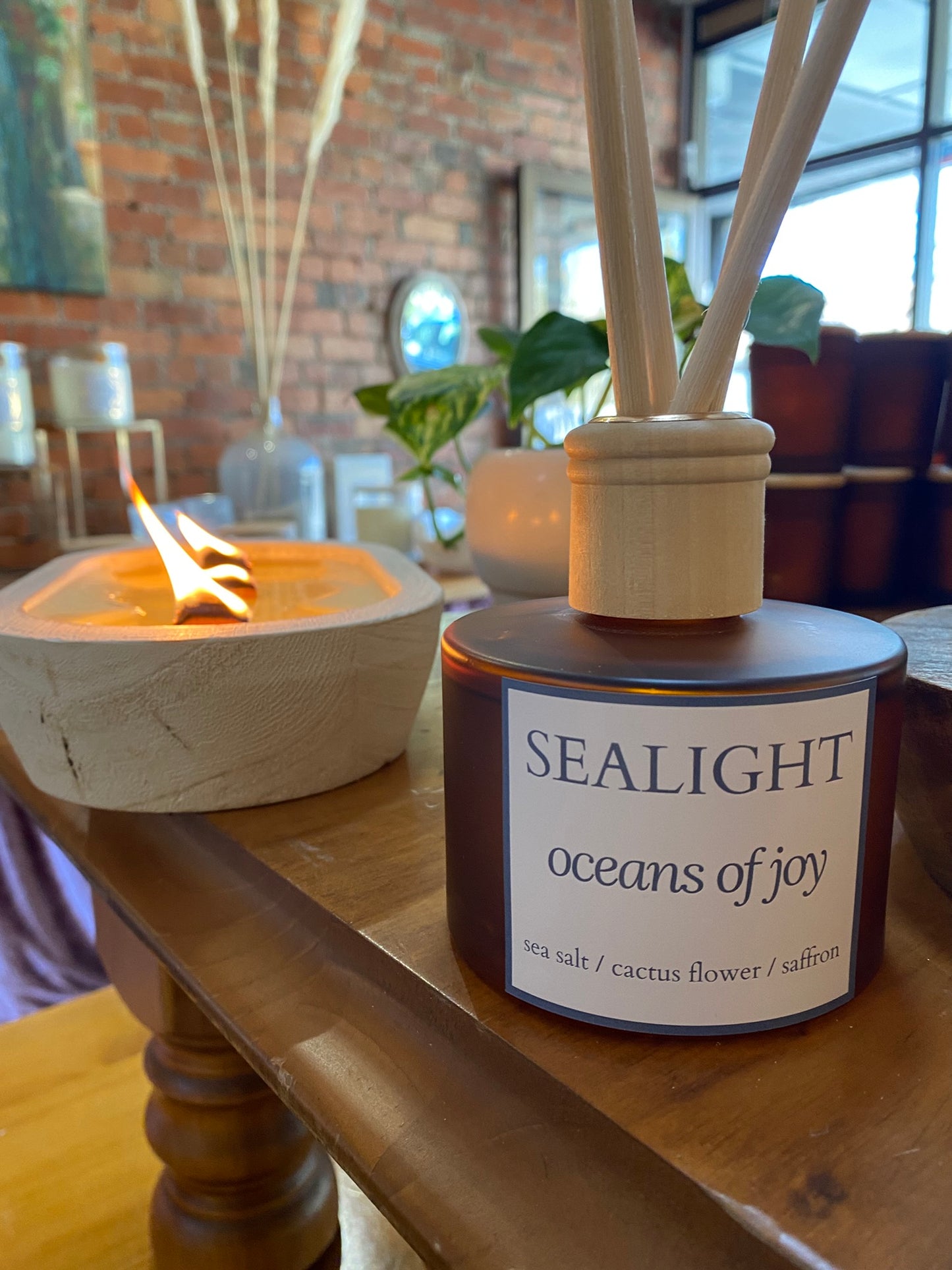 Cactus Flower & Sea Salt - Fragrance Diffuser - Oceans of Joy
