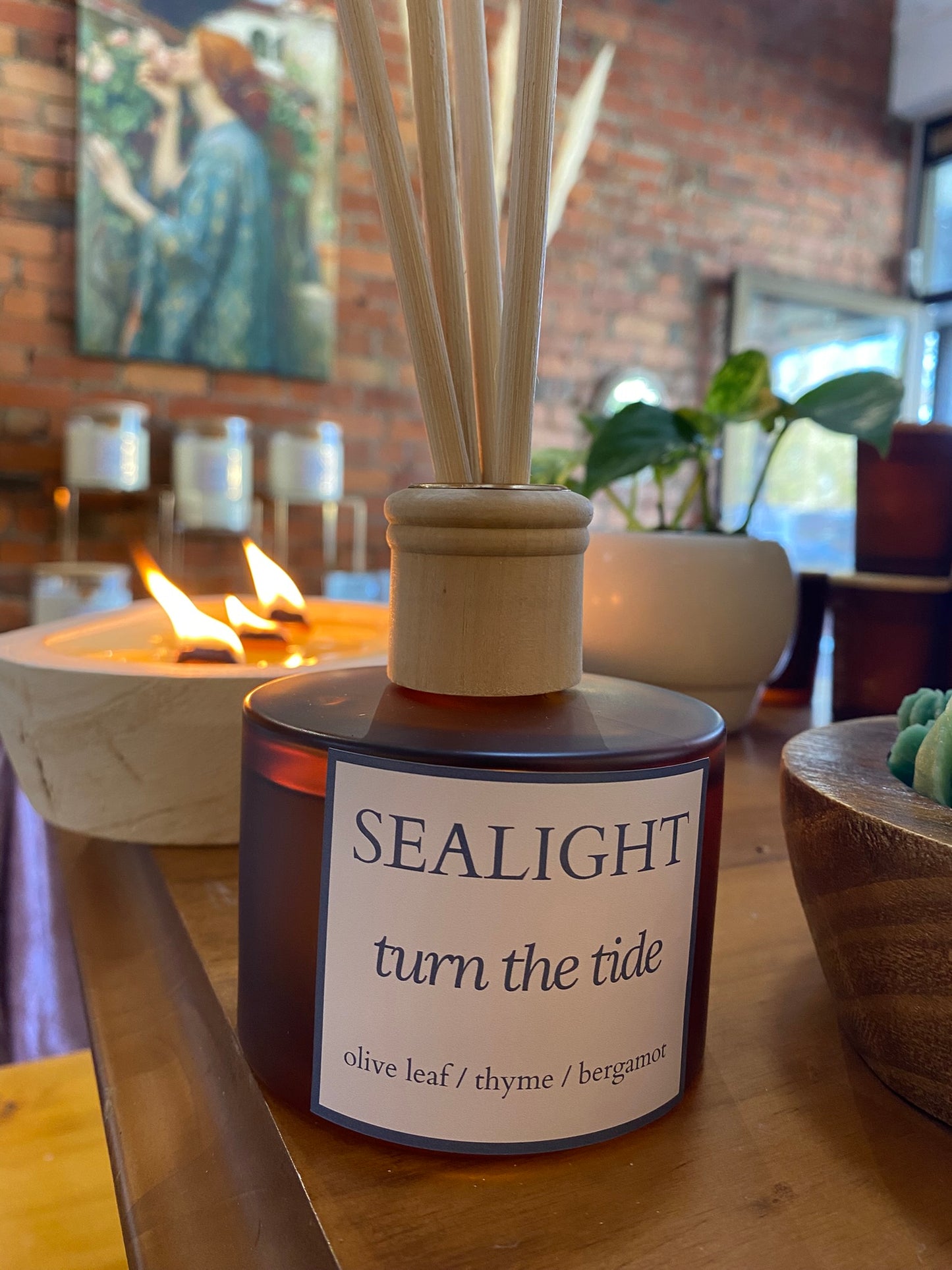 Olive Leaf & Thyme - Fragrance Diffuser - Turn the Tide