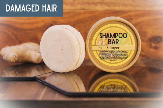 XL Shampoo Bar ~ Ginger ~ 50 washes ~ Rice Protein Solid Shampoo ~